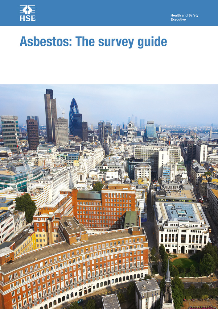 Asbestos The Survey Guide