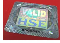 2009 version hologram