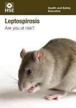 Leptospirosis are you at risk front cover