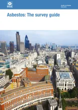 Cover of Asbestos: The Survey Guide